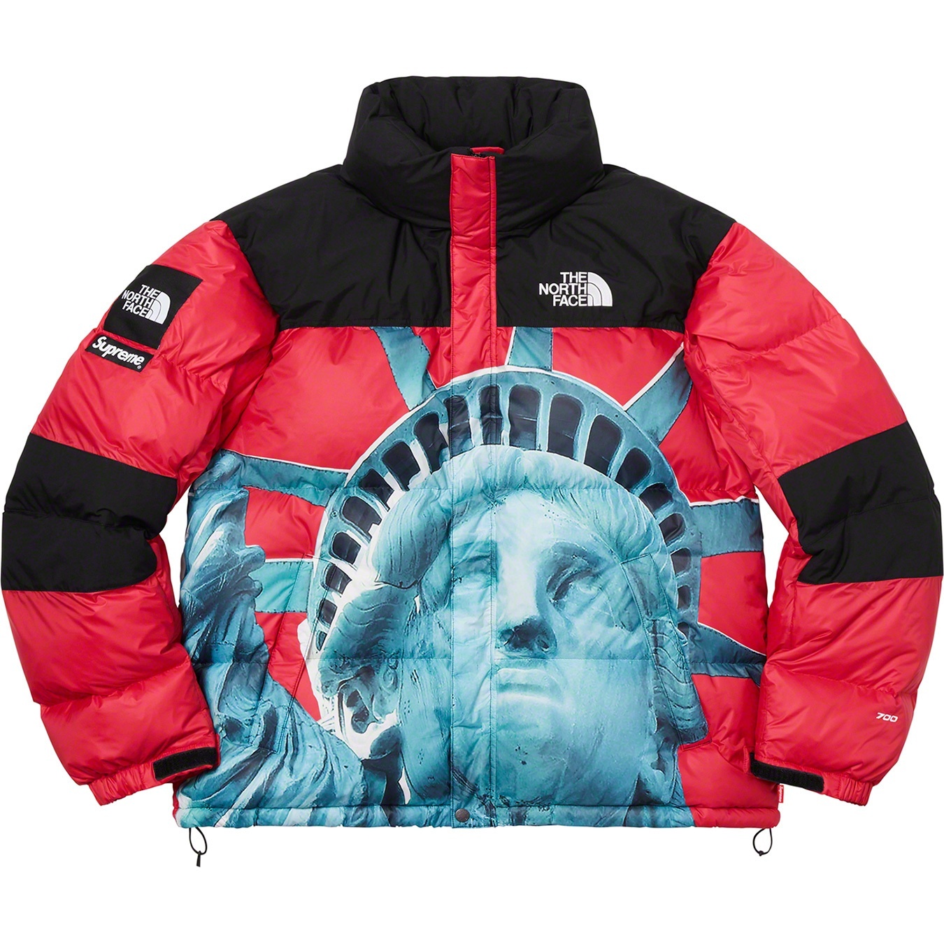 Supreme®/The North Face® Statue of Liberty Baltoro Jacket view 8